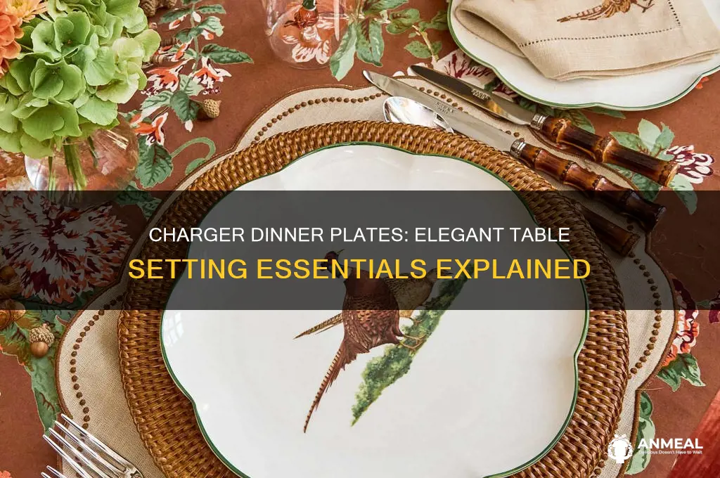 what are charger dinner plates