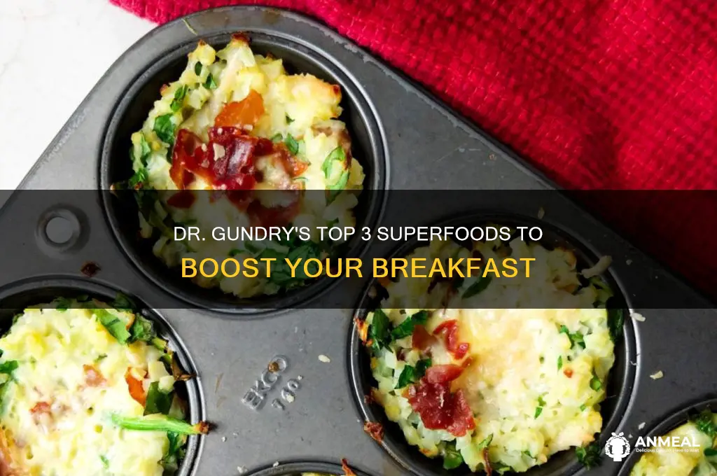 what are dr gundry
