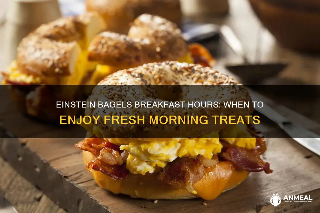 what are einsteen bagels breakfast hours