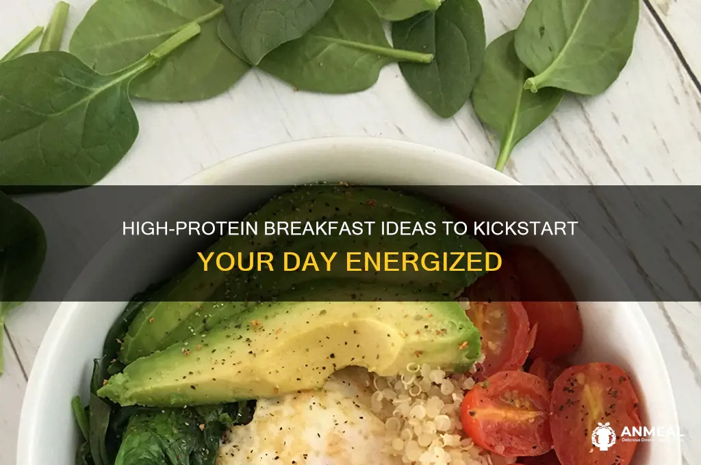 what are examples of high protein breakfast