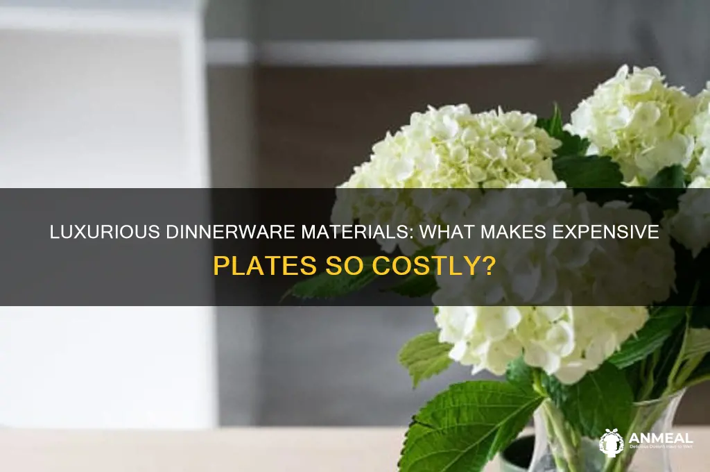 what are expensive dinner plates made of