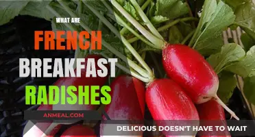 Discover the Delicate Charm of French Breakfast Radishes