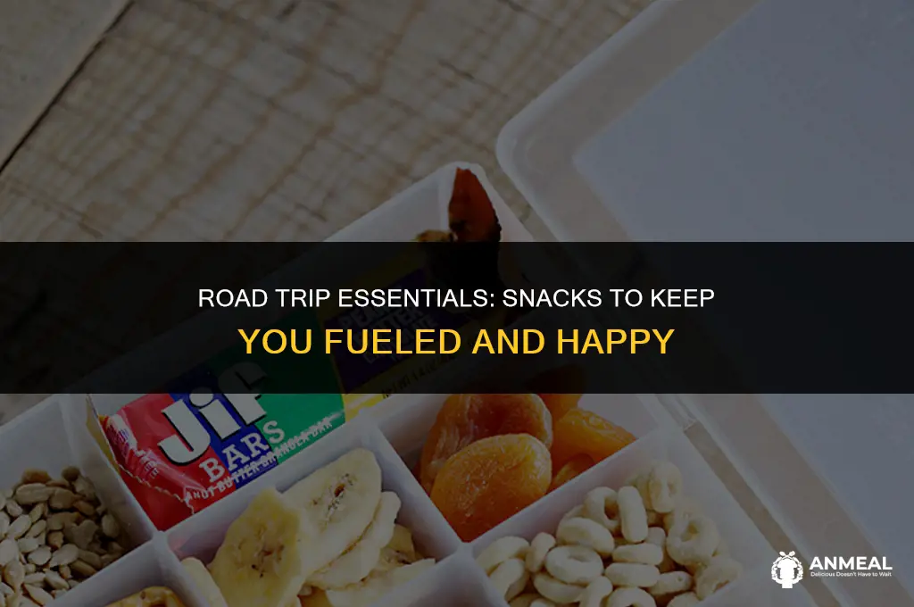 what are good snacks for a road trip