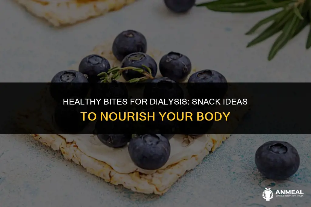 what are good snacks for dialysis patients