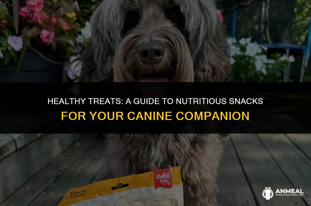 what are good snacks for dogs