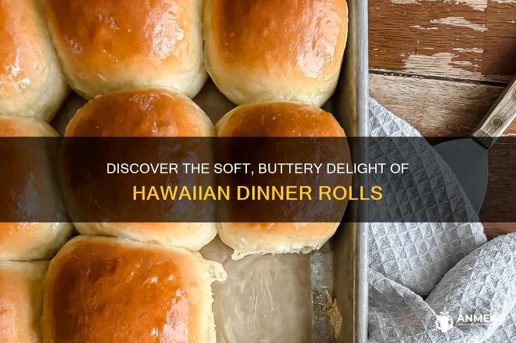 what are hawaiian dinner rolls