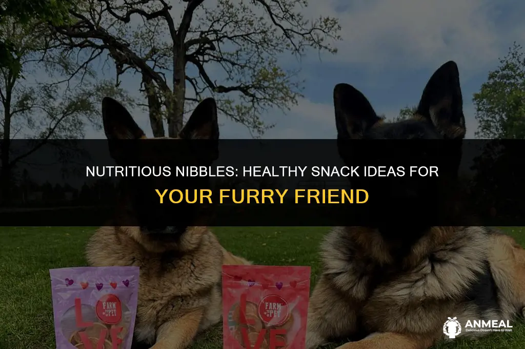 what are healthy snacks for dogs