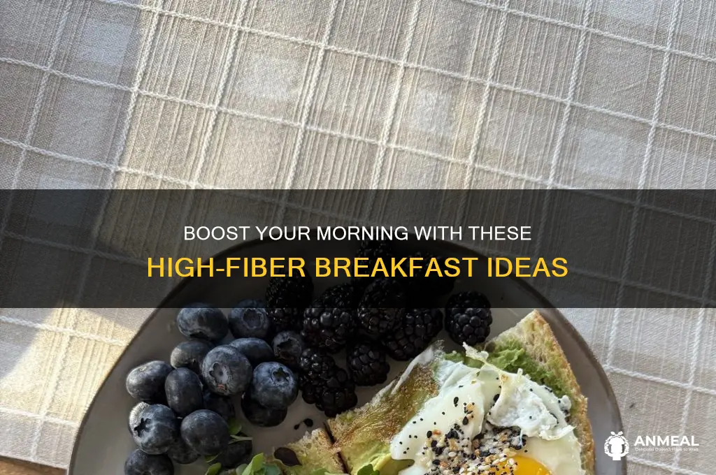what are high fiber breakfast