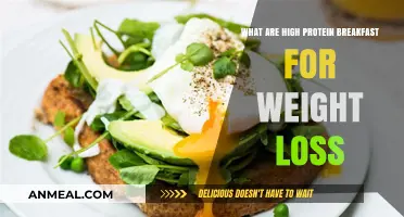 High-Protein Breakfast Ideas to Fuel Weight Loss and Energy