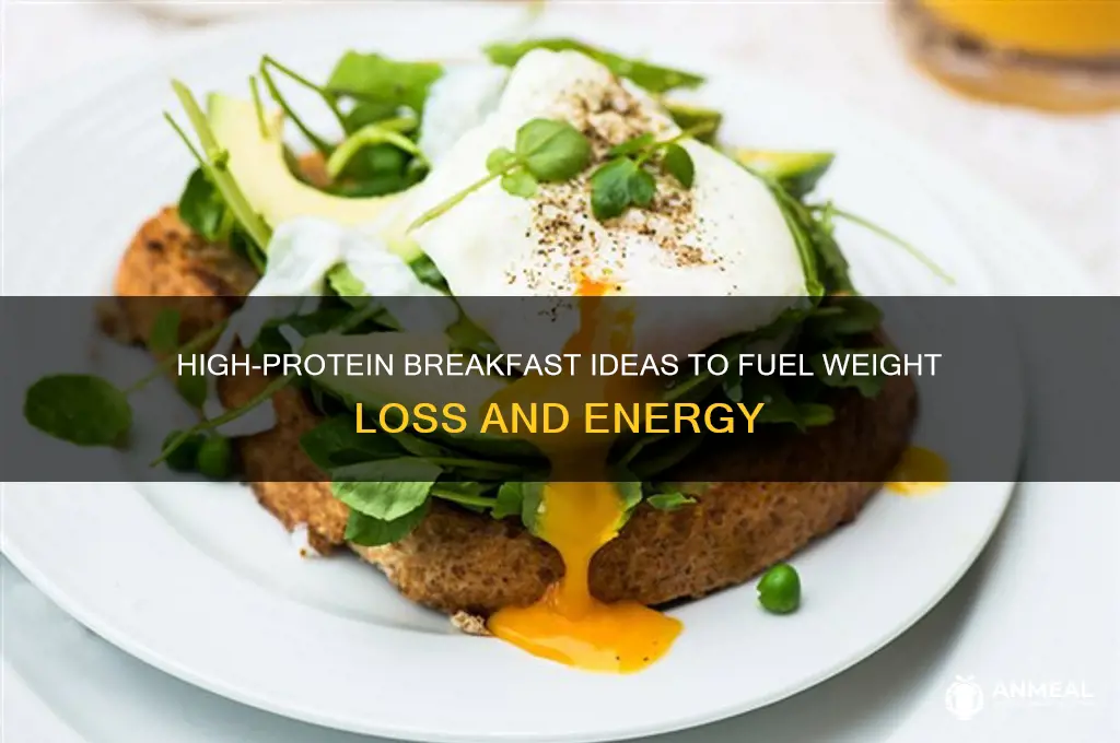 what are high protein breakfast for weight loss