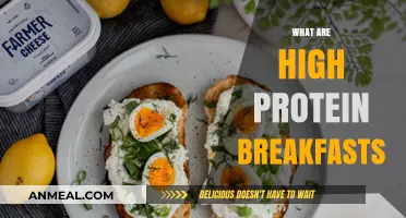 Fuel Your Morning: High-Protein Breakfast Ideas for Energy & Focus