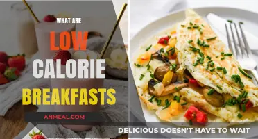 Healthy Low-Calorie Breakfast Ideas to Kickstart Your Day Right