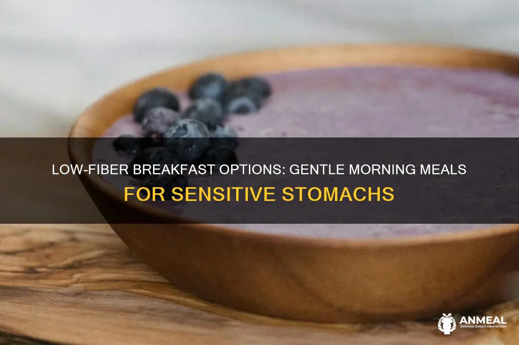 what are low fiber breakfast foods