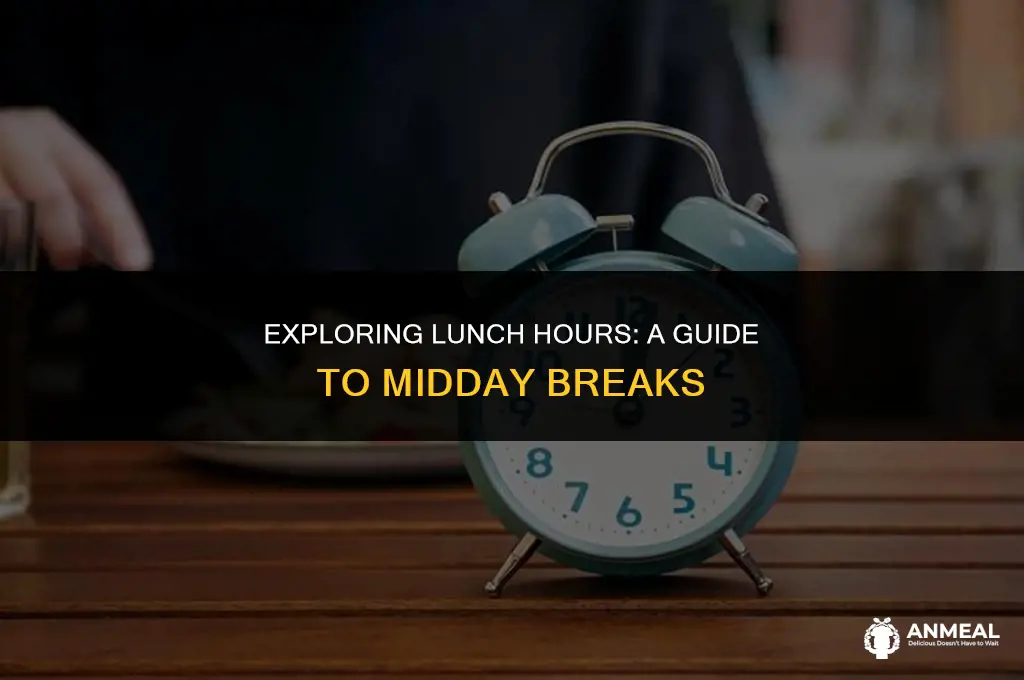 what are lunch hours