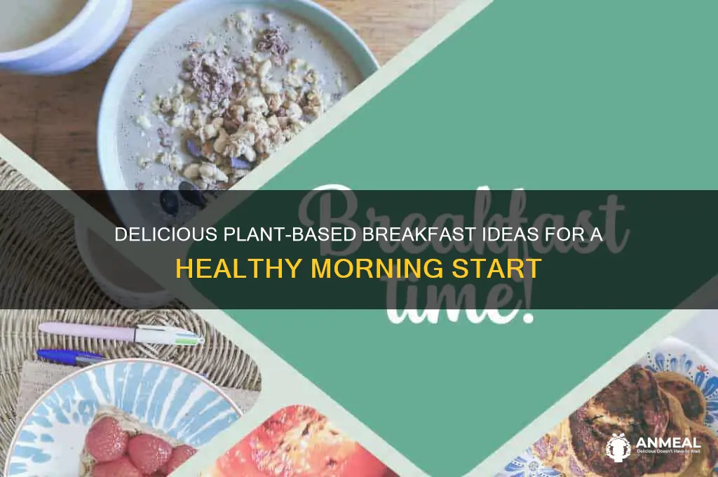 what are plant based breakfast foods