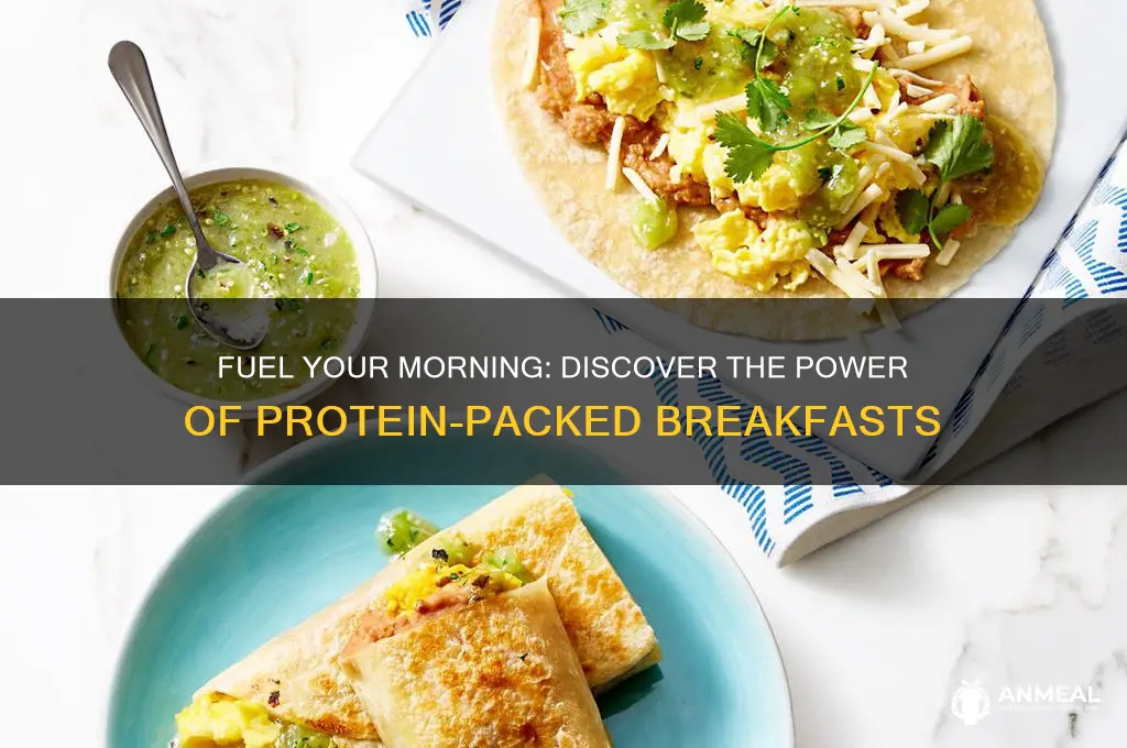 what are protein breakfast