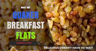 Discover Quaker Breakfast Flats: A Convenient and Tasty Morning Option