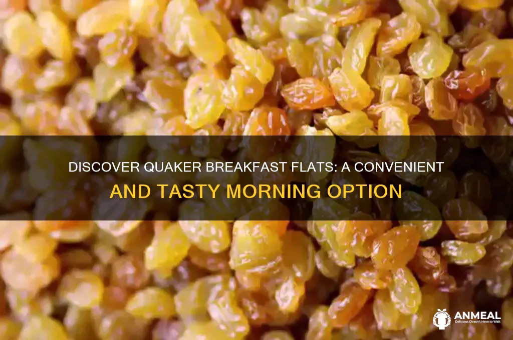 what are quaker breakfast flats