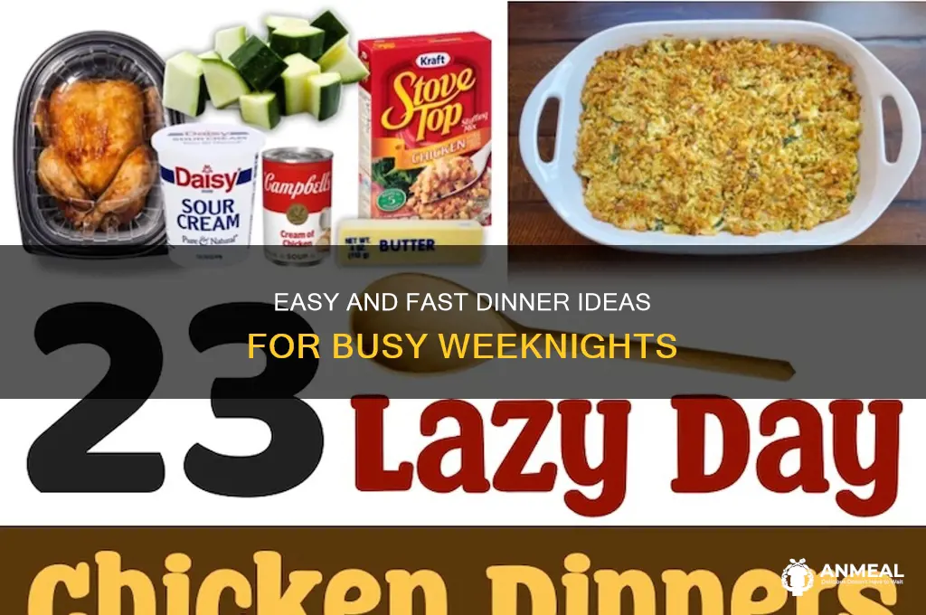 what are quick dinner ideas