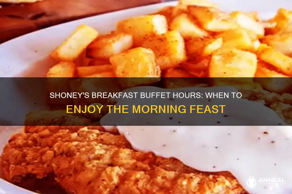what are shoney
