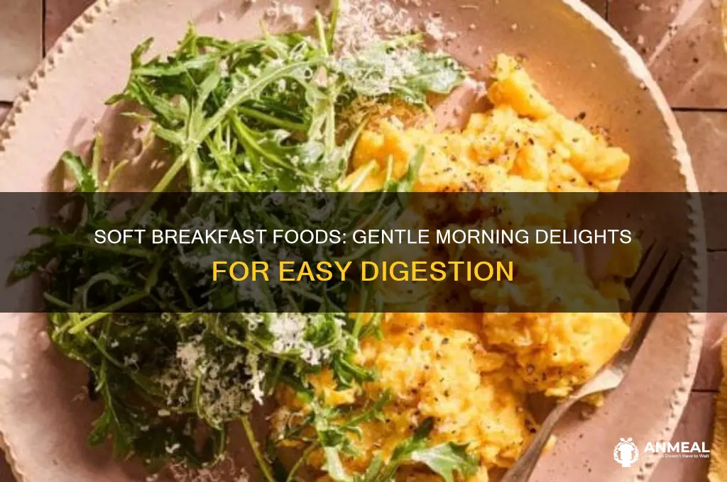 what are soft breakfast foods