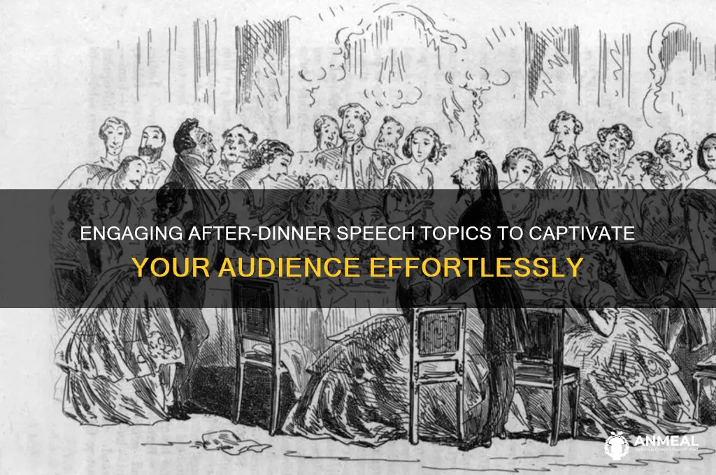 what are some after dinner speech topics