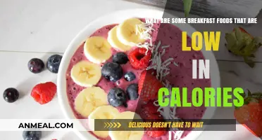 Healthy Low-Calorie Breakfast Ideas to Kickstart Your Day Right