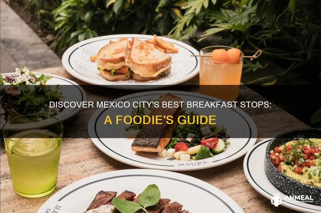 what are some breakfast stops in mexico city