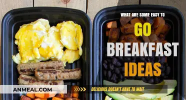 Quick & Healthy Breakfast Ideas for Busy Mornings