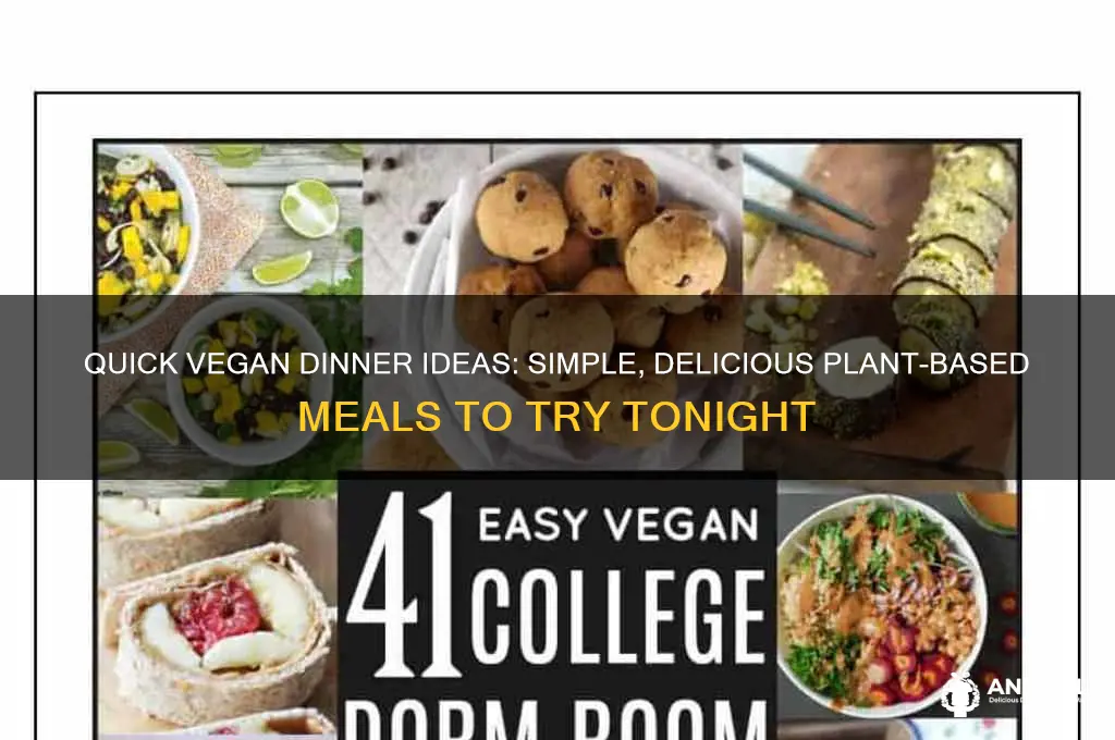 what are some easy vegan dinner recipes