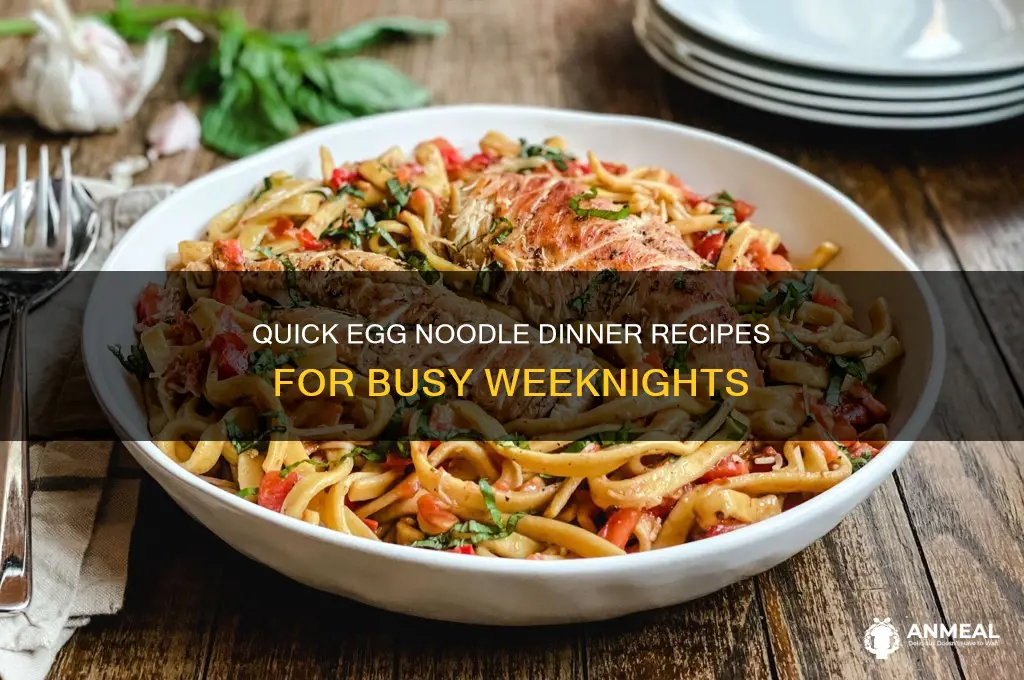 what are some fast dinner meal ideas with egg noodles