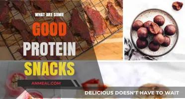 Fuel Your Day: Delicious and Nutritious Protein Snack Ideas