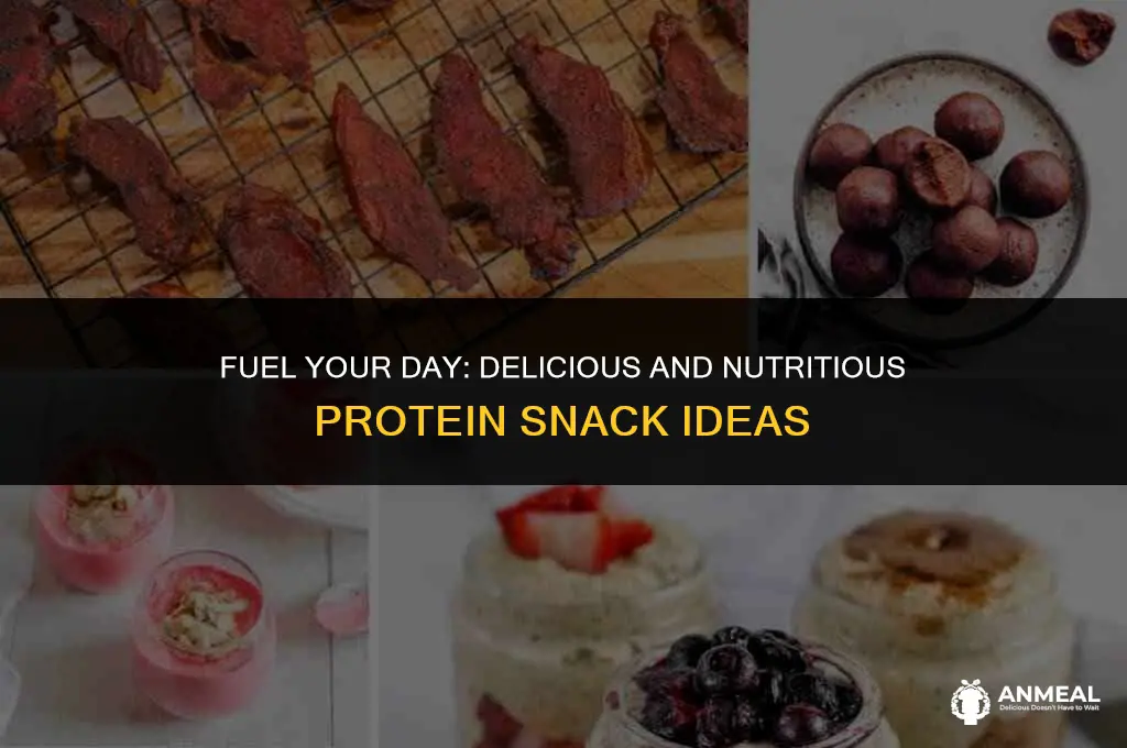 what are some good protein snacks