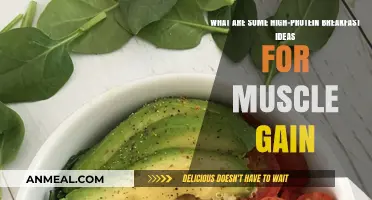 Fuel Your Gains: High-Protein Breakfast Ideas for Muscle Building