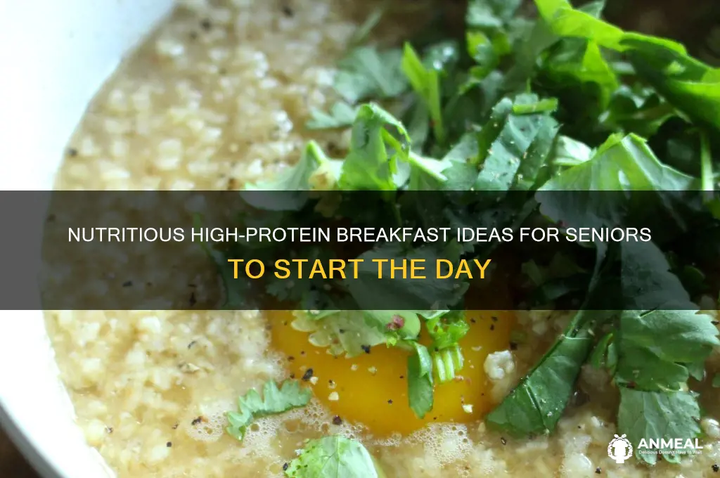 what are some high-protein breakfast options for seniors
