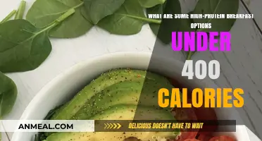 Healthy High-Protein Breakfast Ideas Under 400 Calories to Fuel Your Day