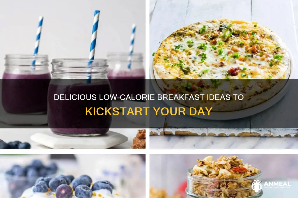what are some lo cal tasty breakfast ideas