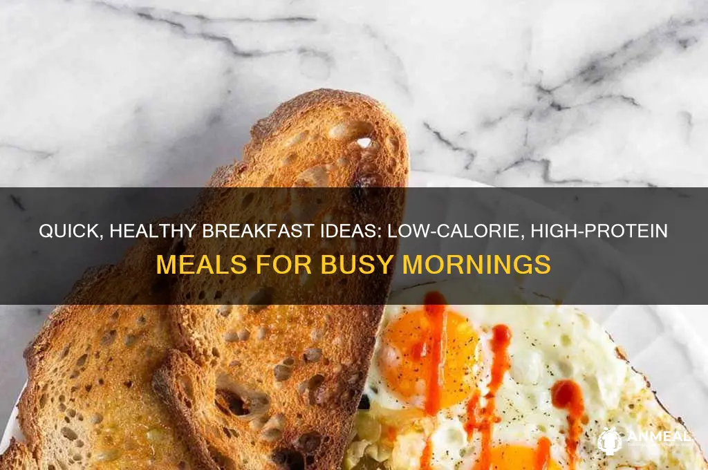 what are some low calorie high protein breakfast on-the-go meals