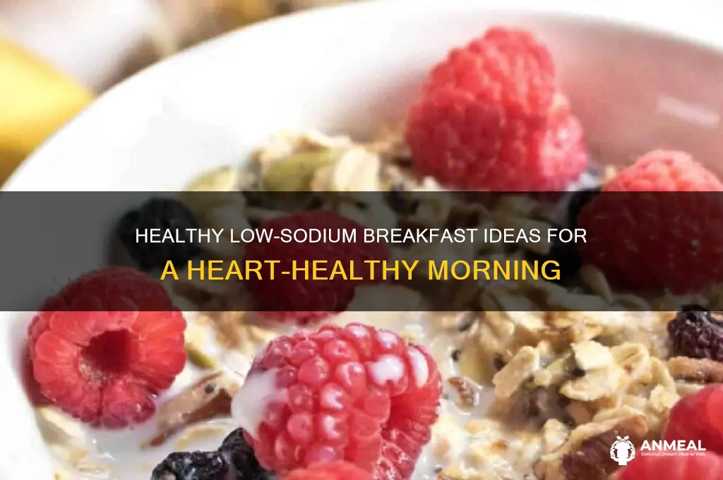 what are some low sodium breakfast foods