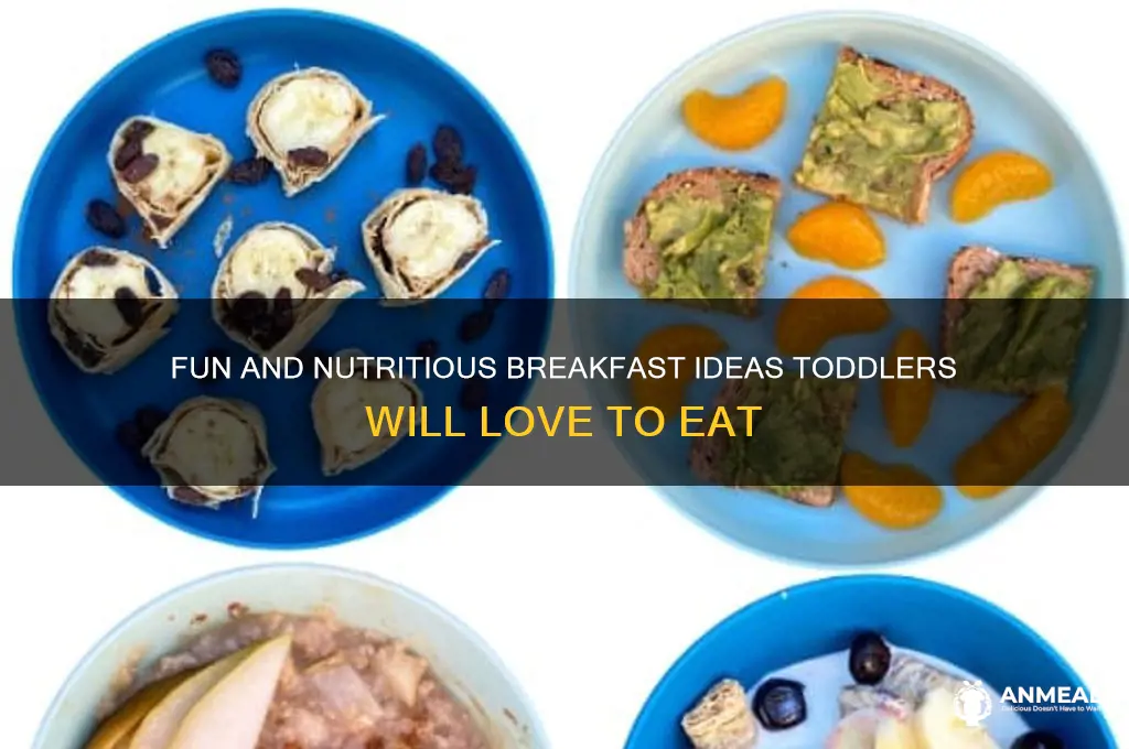 what are some notrational breakfast foods that todlers would lik