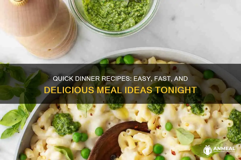what are some quick dinner recipes