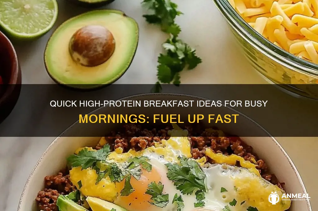 what are some quick high-protein breakfast ideas for busy mornings