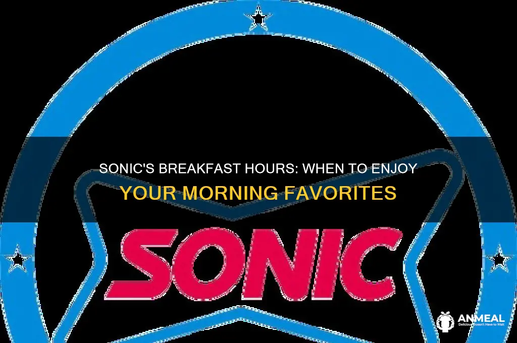 what are sonic
