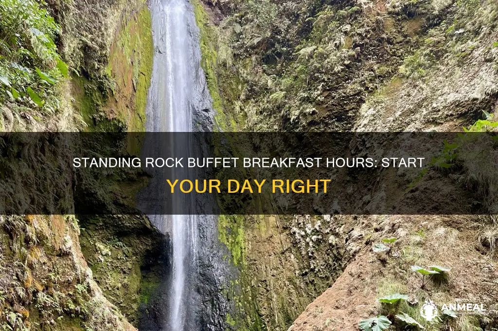 what are standingrock buffet breakfast hours