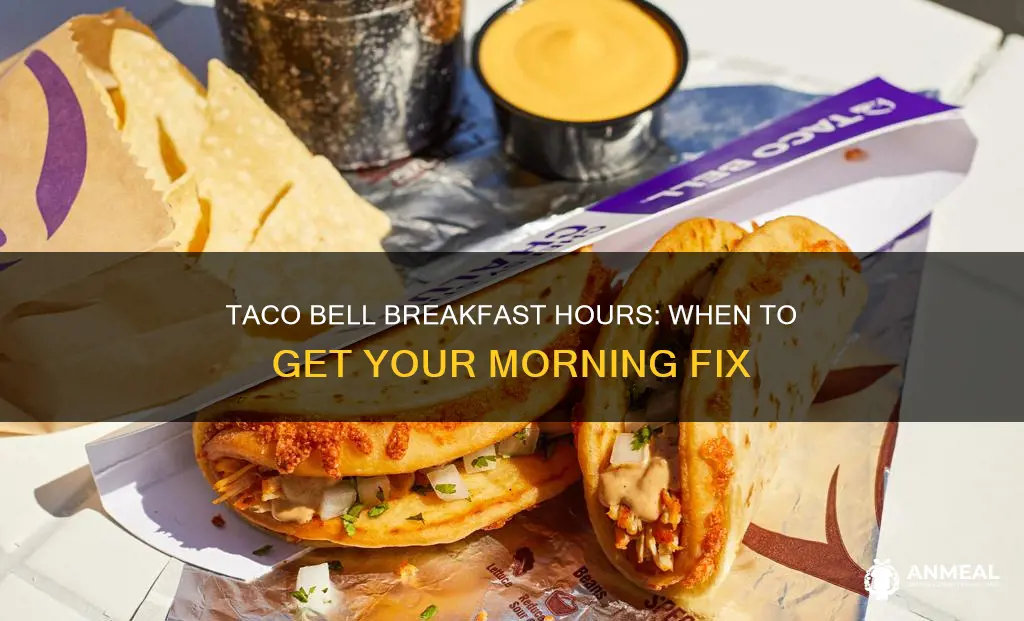 what are taco bell
