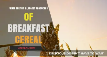 Top Breakfast Cereal Producers: Who Dominates the Global Market?
