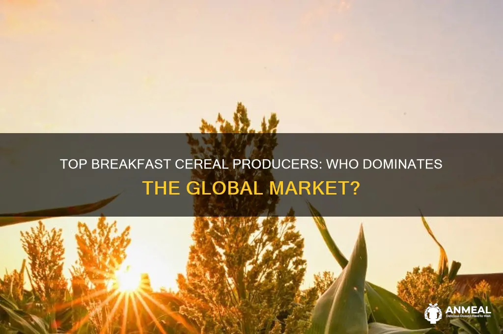 what are the 3 largest producers of breakfast cereal