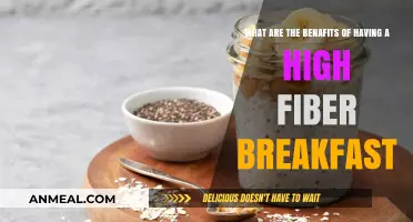 Boost Your Day: High-Fiber Breakfast Benefits for Health and Energy