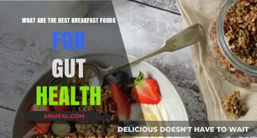 Boost Your Gut Health: Top Breakfast Foods for a Happy Tummy