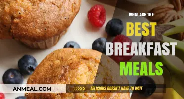Delicious and Nutritious: Top Breakfast Meals to Start Your Day